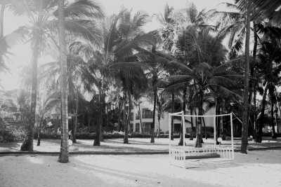 Kenia - Diani Beach - Sun-Kissed Serenity: Diani Delight in Magical Mombasa, Kenya! - 2