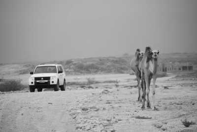 Oman - Ras Madrakah - The Coastal Road Trip from Muscat to Salalah, Oman - 2