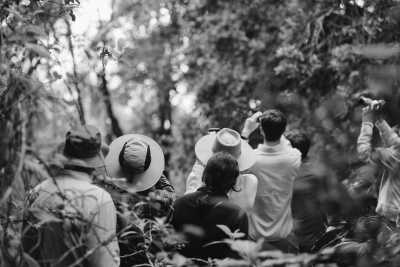 Eastern Africa - Murchison River Lodge - Best Uganda-Rwanda Holiday - Wildlife Trekking Adventure