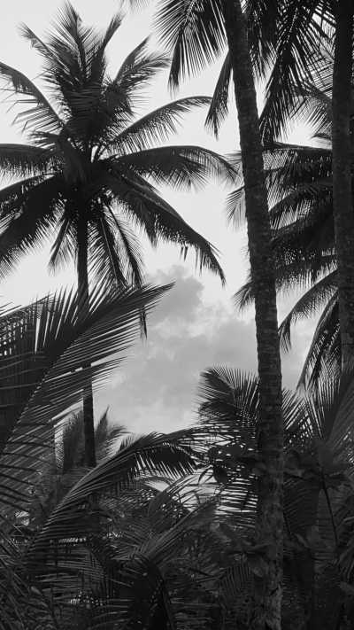 Sao Tome and Principe - São Tomé and Príncipe - Travel to São Tomé and Principe: Africa’s Hidden Paradise Must Explore - 1