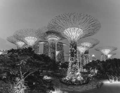 South-eastern Asia - Singapore - Malaysia, Singapore, and Indonesia: A  2-Week Adventure - 5