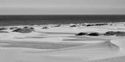 Spain - Zwei Wochen Gran Canaria ☀️Urlaub oder Coworking in Maspalomas - JoinMyTrip