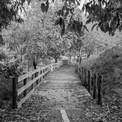 Portugal - Matosinhos - CoWorking and Coliving Experience in Porto with a Local: Change of Work Scenario, Exploring the True Essence of this City - 5