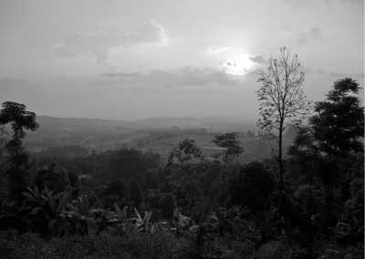 Indonesia - Surakarta - Breezy Bliss in Indonesia: Tawang Mangu's Serenity After Savoring Solo's Culinary Delights - 1