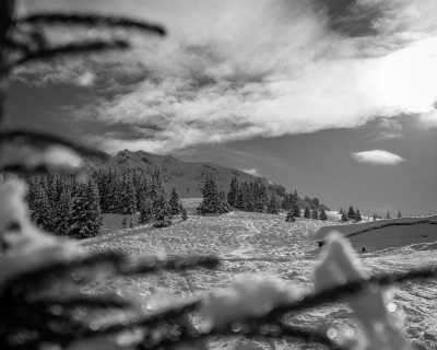 Austria - Kühtai - Ski Trip to the Alps 🎿 All Skipasses included! Visit the vibrant student city Innsbruck, and hit the slopes with a former pro-skier and local guide ❄️ - 4