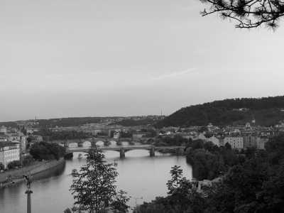 Czechia - Prague - Welcome to the Wild Experience With A Local: The Prague Hidden Gems Walking Tour 3 Days - 7