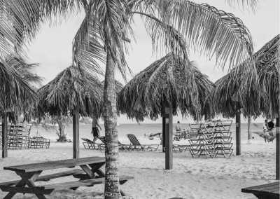 World - Bridgetown - Sun, Sea, and Santa: Christmas Magic Awaits in Barbados!