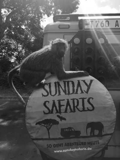 Tanzania - Arusha - Discover Tanzania and experience the African safari with a local!