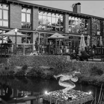 South Africa - Riboville Boutique Hotel and Restaurant - Explore Johannesburg, South Africa - Art, Hike 🥾 Skydive 🪂 Food 🍲 - 4