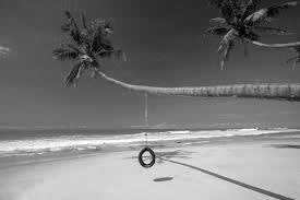 Sri Lanka - Galle - A Tropical Paradise Unveiled: A Breathtaking Sri Lankan Beach Adventure - 2