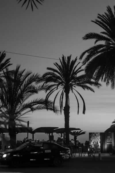 Peru - Lima - Ayahuasca in the Peruvian Amazon / The Dunes Peruvian Oasis - Let's Explore the Jungle & Connect with Nature! - 2