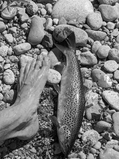 Argentinien - El Bolsón - Hands-On Patagonia Adventure: Off-Grid Living, Hiking & Skill-Building - 3