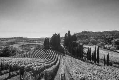 Italien - Tuscany - (Girls Trip) Have Fun while Exploring Chianti and Florence with a Local! - 2