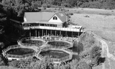 Neuseeland - Wānaka - 🌋 Explore New Zealand: Scenic Wonders Road Trip Adventure! - 4