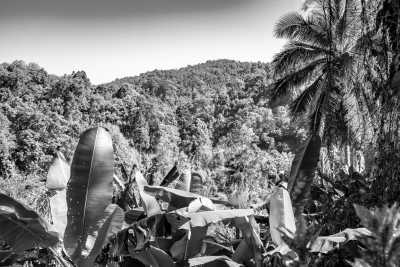 Thailand - Chiang Dao - 1 Month – CoWorking in Chiang Mai 💻 Hidden gems, and knowledge sharing in Thailand - 1