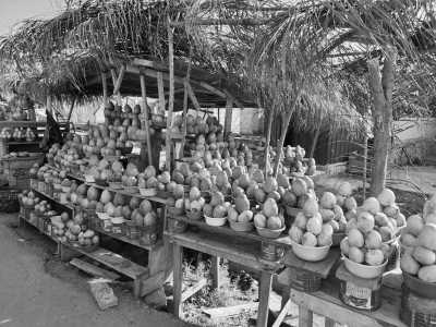 Ghana - Elmina Castle - Visit Ghana and get to know the History of Slavery and Ghanas Culture! - 2