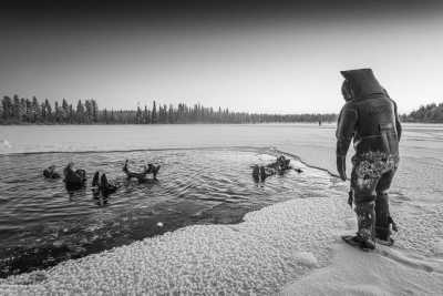 Finnland - Rovaniemi - Explore snowy Finland before Christmas - Northern Lights, Santa Claus Village and Snowmobile Adventure - 2