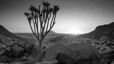 Namibia - Das Abenteuer Namibia ruft - 3 wöchiger Roadtrip mit Allrad & Dachzelt zur einmaligen Natur- und Tierwelt - JoinMyTrip