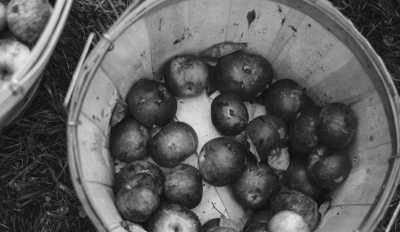 Spain - Petritegi Sagardotegia - Hike & Bike in the Basque Country! Bilbao x San Sebastian: Food, Nature and Adventure - 2