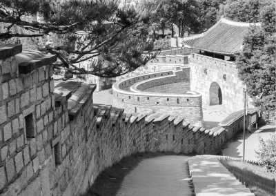 Korea, South - Suwon-si - A Foodies Trip Through South Korea - 1