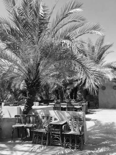 Ägypten - Siwa Oasis - The Pyramids and beyond: from Cairo to remote Siwa oasis in the Western Desert - 7