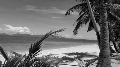 Thailand - Koh Samui - Koh Samui 🌞 HomeOffice in Thai Paradise - 6