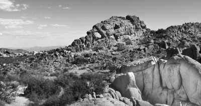 United States - Joshua Tree - California Adventure🇺🇲: A Road Trip Through America's National Parks - 1