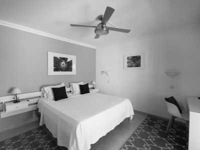 Portugal - Lagos - 🎄Christmas in a Coliving & Coworking Community in sunny Lagos, Portugal 🌴🌊🌞 - 13