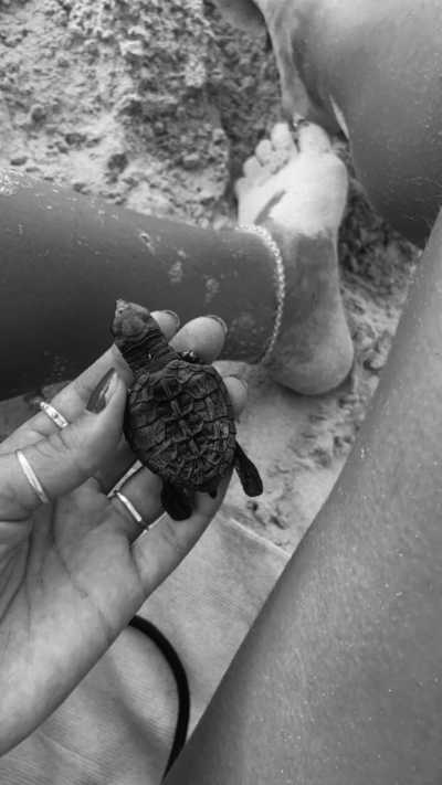 Sao Tome and Principe - Travel to São Tomé and Principe: Africa’s Hidden Paradise Must Explore - JoinMyTrip