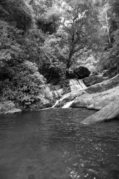 Sri Lanka - Haputale - Explore Sri Lanka in LUXURY!! Stunning Beaches, Mountains, Waterfalls and Jungles I 15 Days - 3