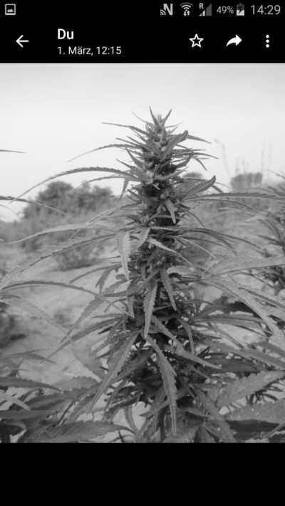 Western Africa - Gambia - Abenteuerreise nach Afrika - Gambia 😊 - 5