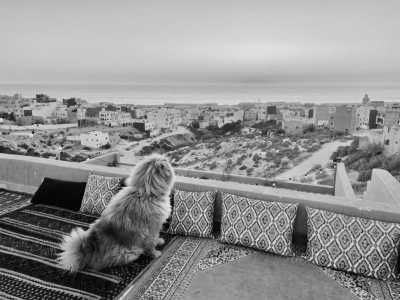 Marokko - Tamraght - Coliving and Coworking in Tamraght, Morocco 🇲🇦