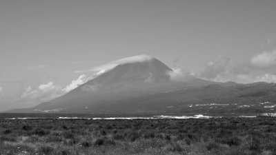 Portugal - Pico Island - Azores - meet biggest whales & wild dolphins in their natural habitat  🐋 - 3