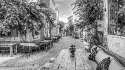 Turkey - Alaçatı - Turkey Vineyard Odyssey: Discovering the Aegean's Wine Paradise