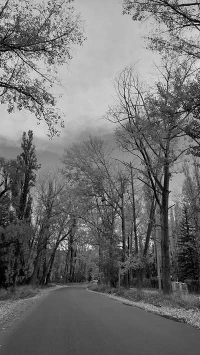 Argentina - Potrerillos - Discover Mendoza, Argentina with a local: Mountains, Wine & Food Culture and more! - 4