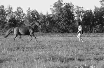 Romania - Barajul Gura Riului - Wanderritt Transsilvanien, Rumänien - 3