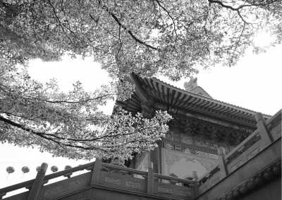 China - Jinan - 15-Day Northern China Adventure: Mountains, Beijing Great Wall, Chinese Opera, Street Food, Nearby Cities, and Unique Treehouse Accommodation - 2