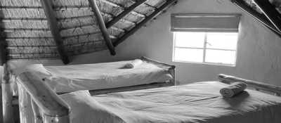 South Africa - Durban - Trip to Khotso, South Africa-Enjoy Horse Trails, Adventure and Wildlife ☀️🏇😊 - 11