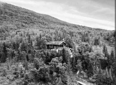 Norway - Sjøtunvegen - Artic Aurora 🌈 and Reindeer Glides 🦌 in Norway: Tromsø's Winter Wonderland ❄️ - 3