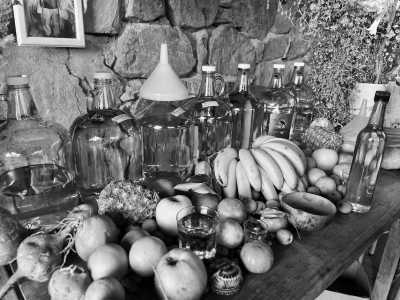 Mexiko - Oaxaca - SOUTH MEXICO WONDERS, DAY OF THE DEAD EDITION - 64