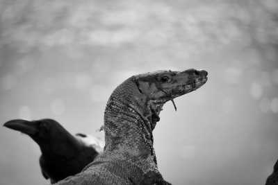 Thailand - Bangkok - Backpacking Thailand: Explore the Duality of Bangkok and the Idyllic Islands of Ko Pha Ngan and Ko Samui - 2