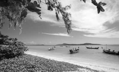 Thailand - Rawai Beach - Swimming with Elephants and Snorkeling in Phuket, Thailand: Island Paradise, Majestic Elephants, Spectacular Snorkeling, and Local Cuisine