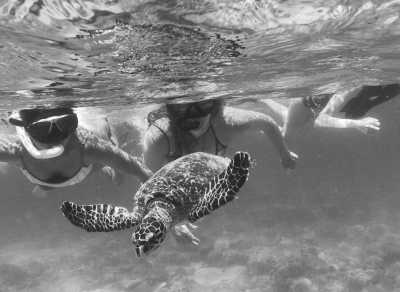 Maldives - Maafushi - Maldives mania: Epic Fun, Party Boats and Snorkel Adventure🏝️