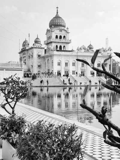 India - Delhi - 🧘‍♀️ Yoga Bliss, 🐫 Desert Thrills, 🌄 Cultural Wonders, and 🍛 Food Adventures: My Unforgettable Indian Voyage! - 5