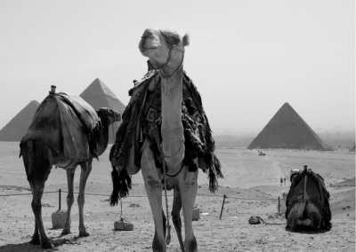 Egypt - Giza Necropolis - Digital Nomads: A Week of Coworking & Culture in Cairo, Egypt - 3