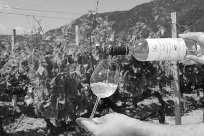 Italy - San Teodoro - Discover Sardinia's best beaches, caves and local food ☀️ - 1