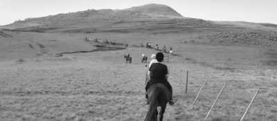 South Africa - Durban - Trip to Khotso, South Africa-Enjoy Horse Trails, Adventure and Wildlife ☀️🏇😊 - 16