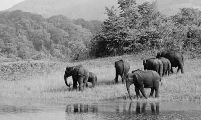 Indien - Wildlife & Heritage Special Trip : Karnataka, India - JoinMyTrip