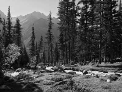 Kirgisistan - Naryn - Kirgistan - das Traumland für Freunde der Natur - 7