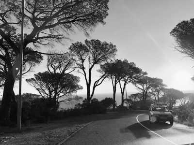 South Africa - Johannesburg - Südafrika Highlight Roadtrip: Garden Route, Panorama Route und Safari